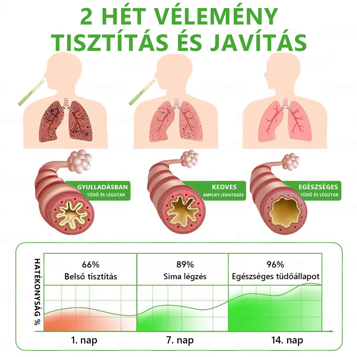 🇭🇺 Kiváló minőségű magyar termék, hazai szállítással ❤️ Murwon® gyógynövényes tüdőtisztító párologtató 🥐(👨‍⚕️ Hatékony segítség: köhögés, torokgyulladás, légszomj, váladékképződés, orrdugulás, hörghurut, allergiás tünetek és tüdőpanaszok esetén)