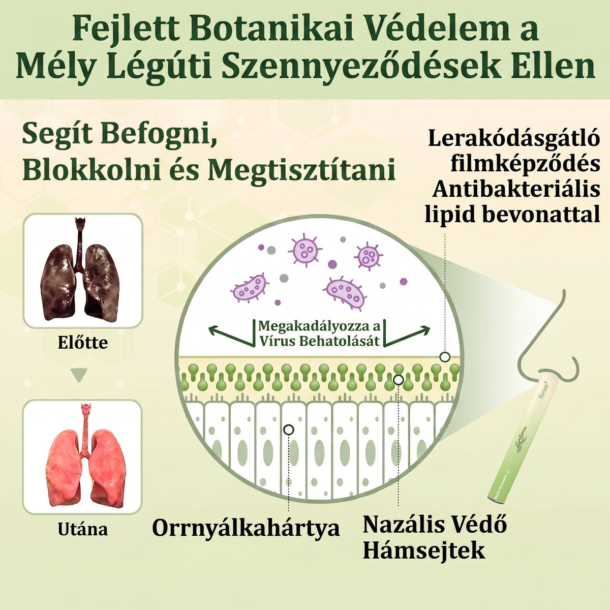 🇭🇺 Kiváló minőségű magyar termék, hazai szállítással ❤️ Murwon® gyógynövényes tüdőtisztító párologtató 🥐(👨‍⚕️ Hatékony segítség: köhögés, torokgyulladás, légszomj, váladékképződés, orrdugulás, hörghurut, allergiás tünetek és tüdőpanaszok esetén)
